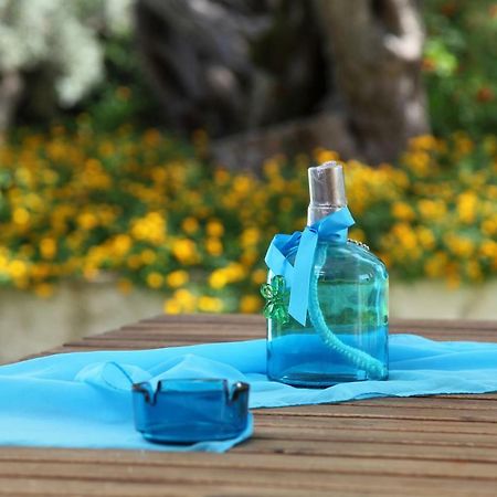 Olivastro Villa Lefkada City Bagian luar foto