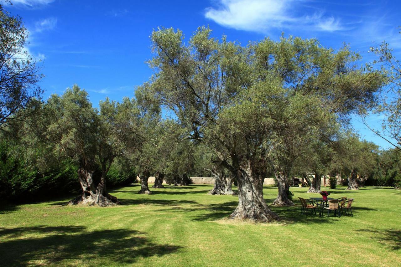 Olivastro Villa Lefkada City Bagian luar foto