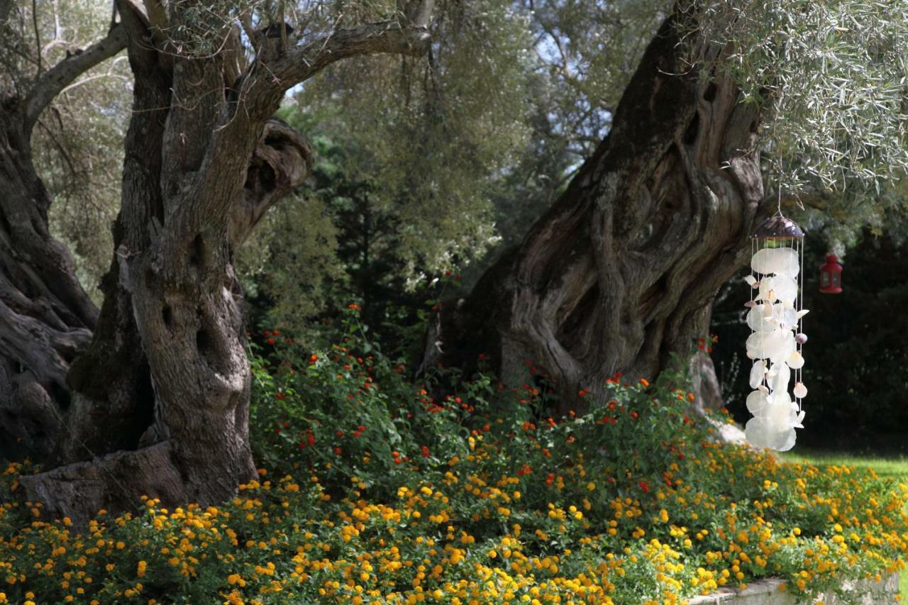 Olivastro Villa Lefkada City Bagian luar foto